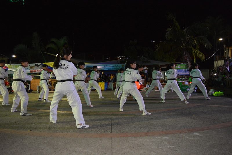 Teakwondo