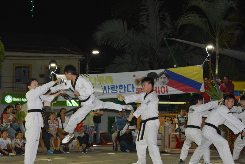 Teakwondo