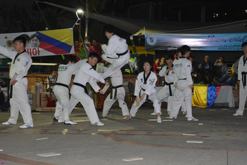 Teakwondo