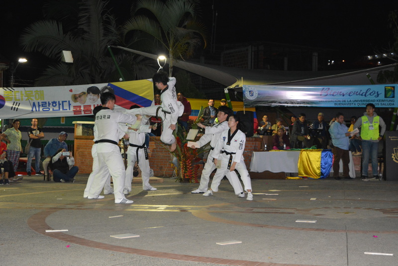 Teakwondo