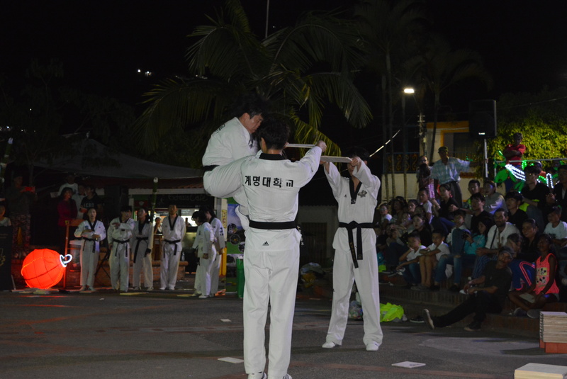 Teakwondo